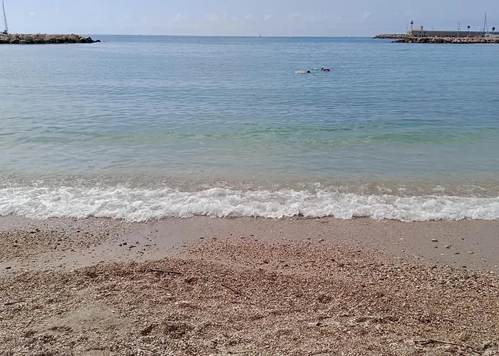 Your Favorite * Menton
